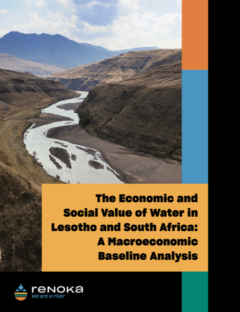 The Economic and Social Value of Water in Lesotho and South Africa: A Macroeconomic Baseline Analysis