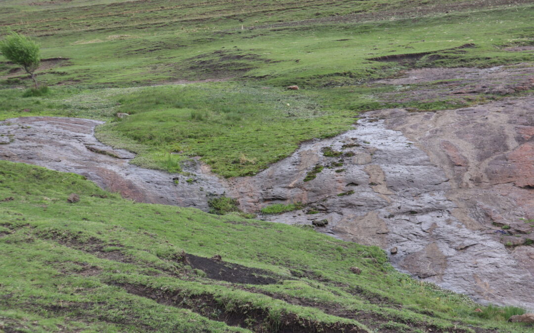 ReNOKA carries out discussions on wetlands protection during World Wetlands Day 2023 commemoration