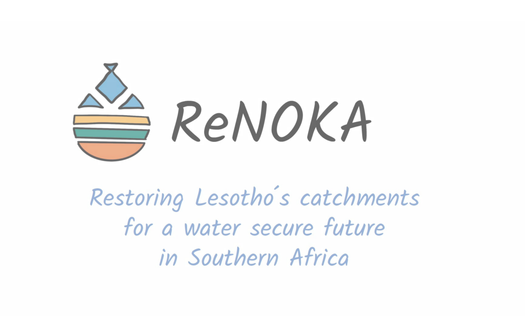 ReNOKA in a nutshell!