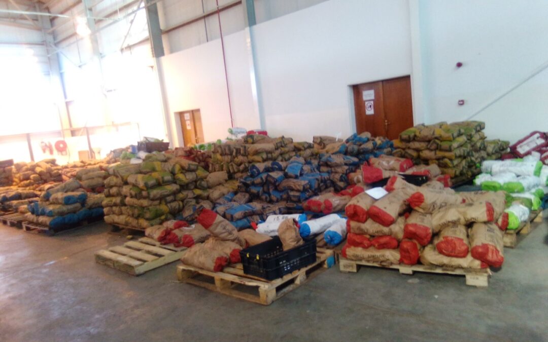 Farmers in Senqunyane access market for their produce